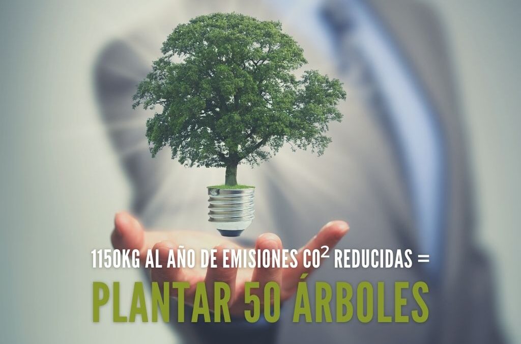 Proyecto 3
